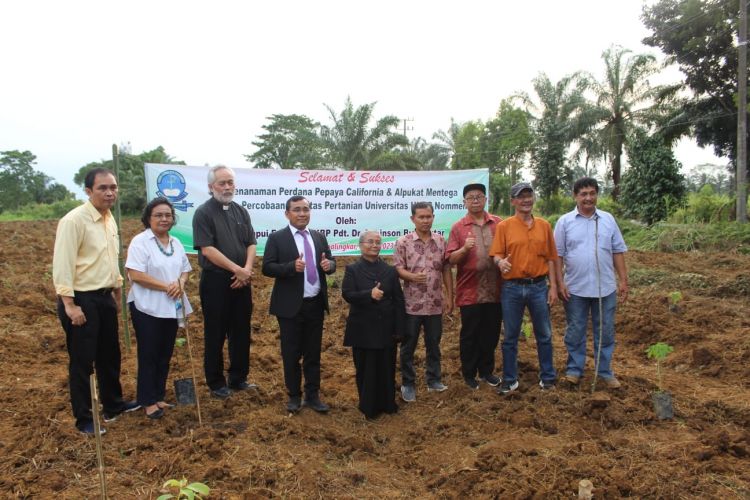 Ompui Ephorus HKBP Pdt. Dr. Robinson Butarbutar Tanam Perdana Pepaya California dan Alpukat Mentega di Porlak Simalingkar