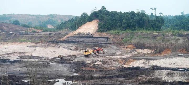 Kejahatan Lingkungan oleh Korporasi: Saat Alam Jadi Korban Kuasa Ekonomi